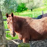 Il Nido Di Erin
