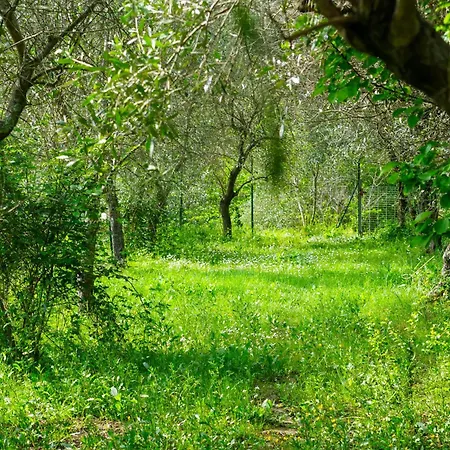 Il Nido Di Erin Apartment Santo Stefano di Magra