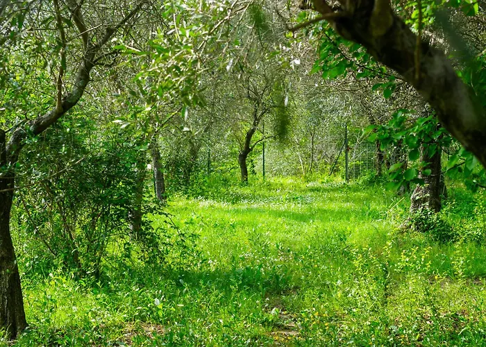 Il Nido Di Erin Apartmán Santo Stefano di Magra